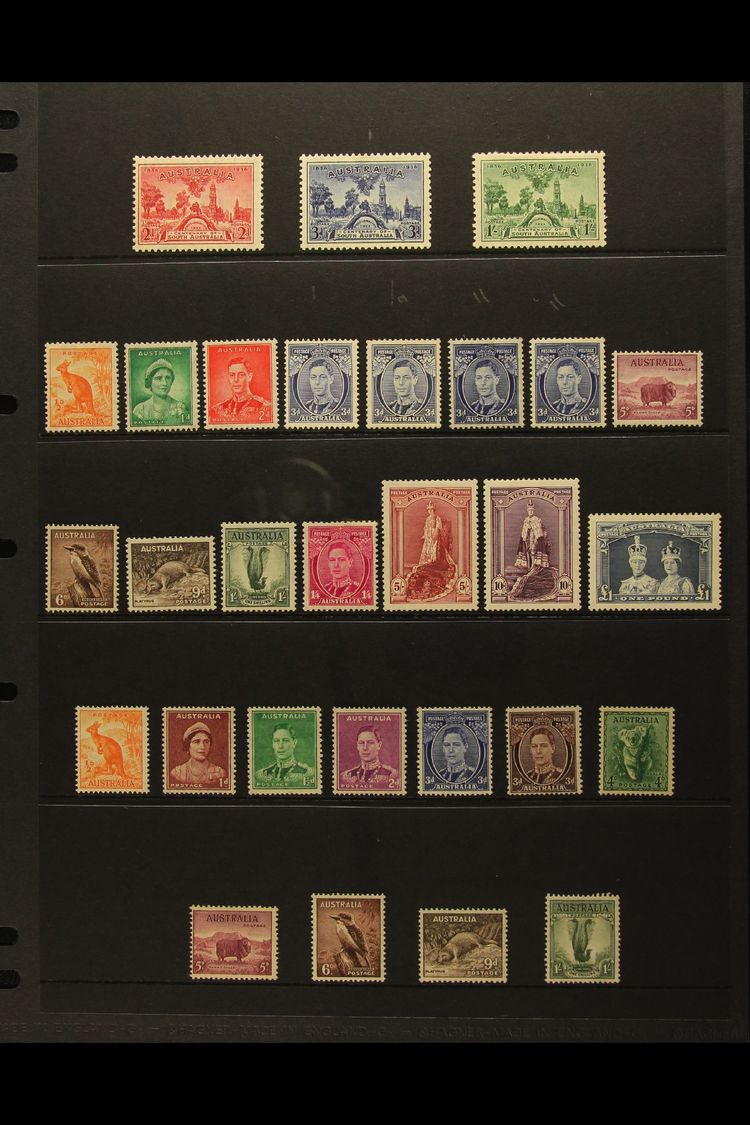 1936-49 VERY FINE MINT SELECTION  Presented On A Stock Page. Includes 1936 South Australia Centenary Set, Defins Include - Otros & Sin Clasificación