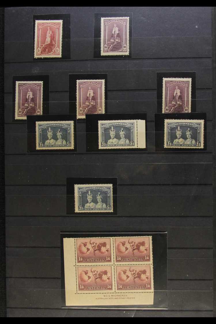 1936-56 NEVER HINGED MINT ASSEMBLY  Displayed On Stock Pages, Includes 1936 South Australia Set, 1937-49 Definitives Inc - Otros & Sin Clasificación