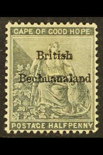 1885-7  ½d Grey-black, Wmk Anchor, Some DOUBLING Of Overprint Visible On "ish" Of "British" And "h" "l" And Second "n" O - Other & Unclassified