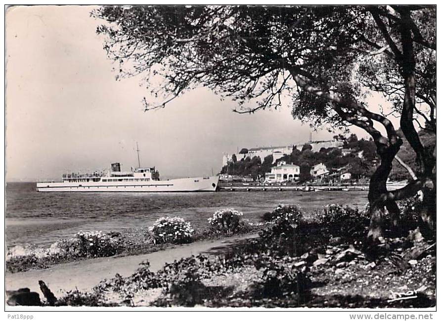 06  - ILE STE MARGUERITE ( CANNES ) : Ferry " GALLUS " Sur Le Port - CPSM Dentelée N/B GF 1961 - Alpes Maritimes - Cannes