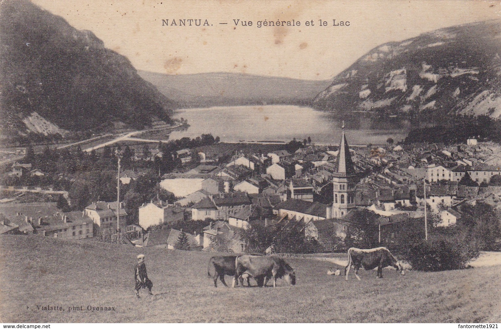 NANTUA /LE LAC/VACHES AU PATURAGE (BB) - Nantua