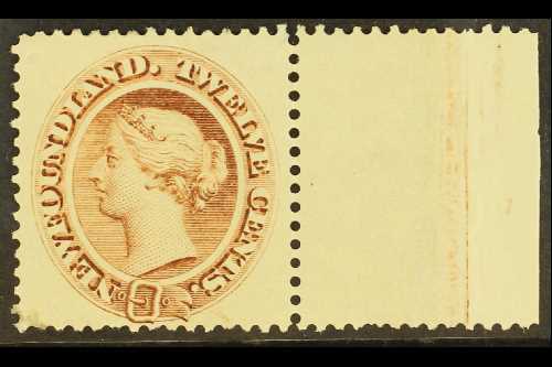 1894  12c Deep Brown, SG 61, Very Fine Marginal Mint. For More Images, Please Visit Http://www.sandafayre.com/itemdetail - Autres & Non Classés