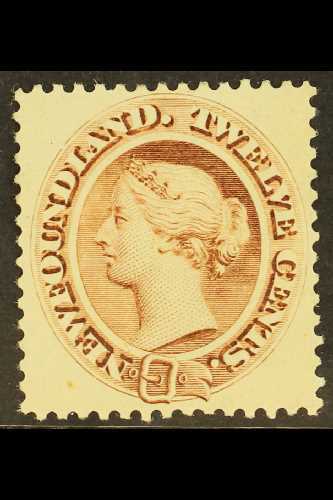 1894  12c Deep Brown, SG 61, Very Fine Mint. For More Images, Please Visit Http://www.sandafayre.com/itemdetails.aspx?s= - Otros & Sin Clasificación