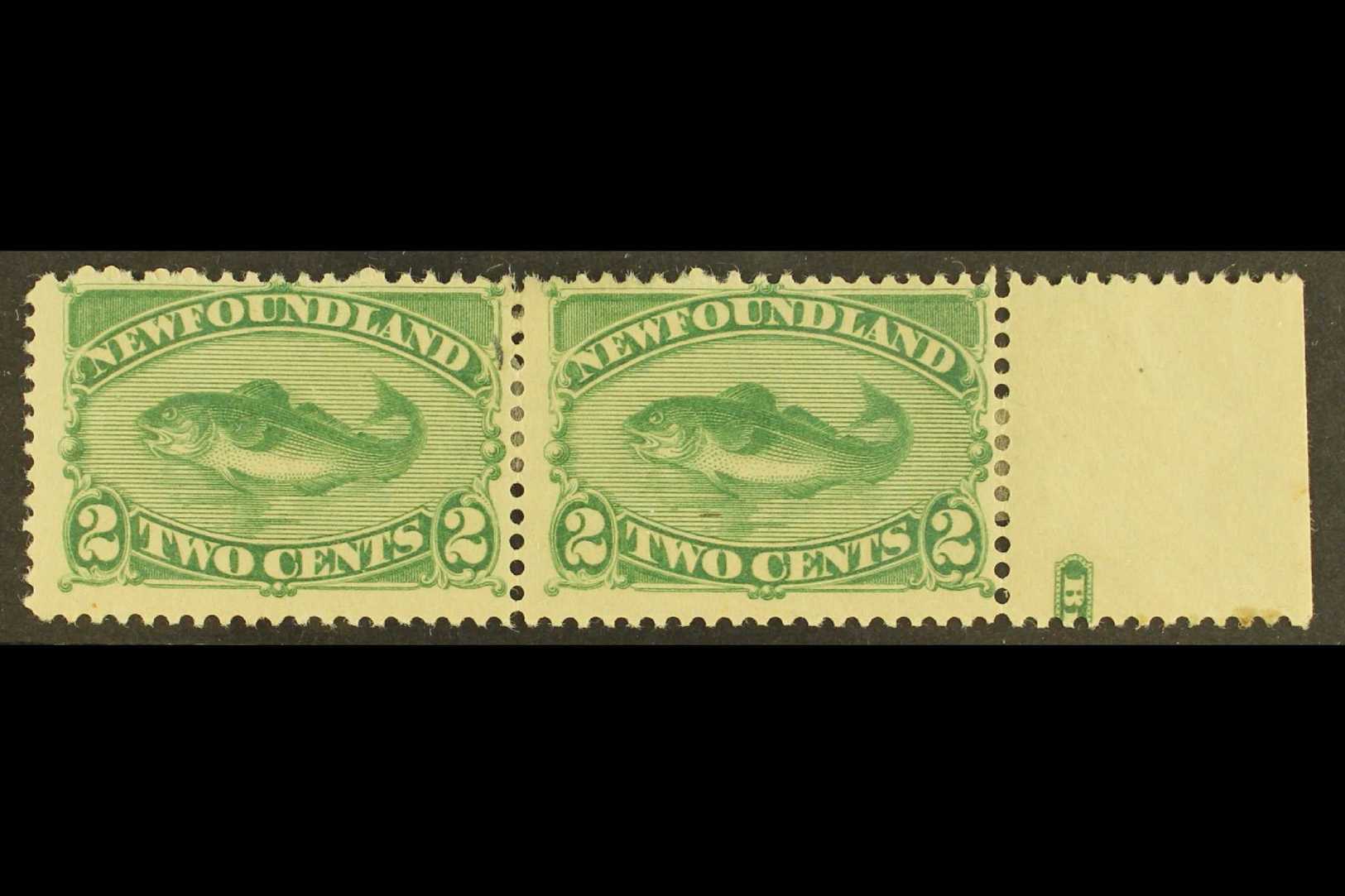 1896  2c Green Cod Fish Re-issue, SG 64, Very Fine Marginal Mint Pair (one With Tiny Hinge Thin Spot). For More Images,  - Otros & Sin Clasificación