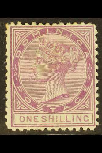 1874  1s Dull Magenta, Wmk Crown CC, P.12½, SG 3, Mint. For More Images, Please Visit Http://www.sandafayre.com/itemdeta - Dominica (...-1978)