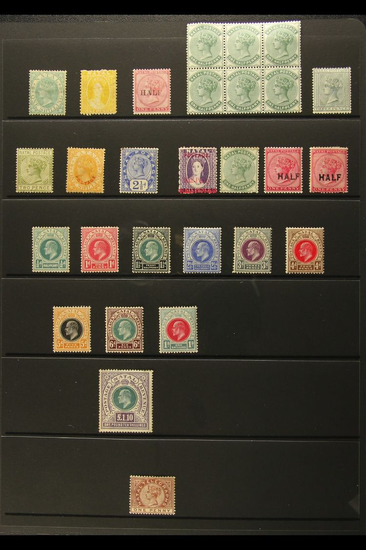 NATAL  1867-1908 MINT SELECTION On A Stock Page. Includes 1867 1s, 1877 ½d On 1d, 1882-89 ½d Nhm Block Of 6 & 3d, 1902-0 - Sin Clasificación