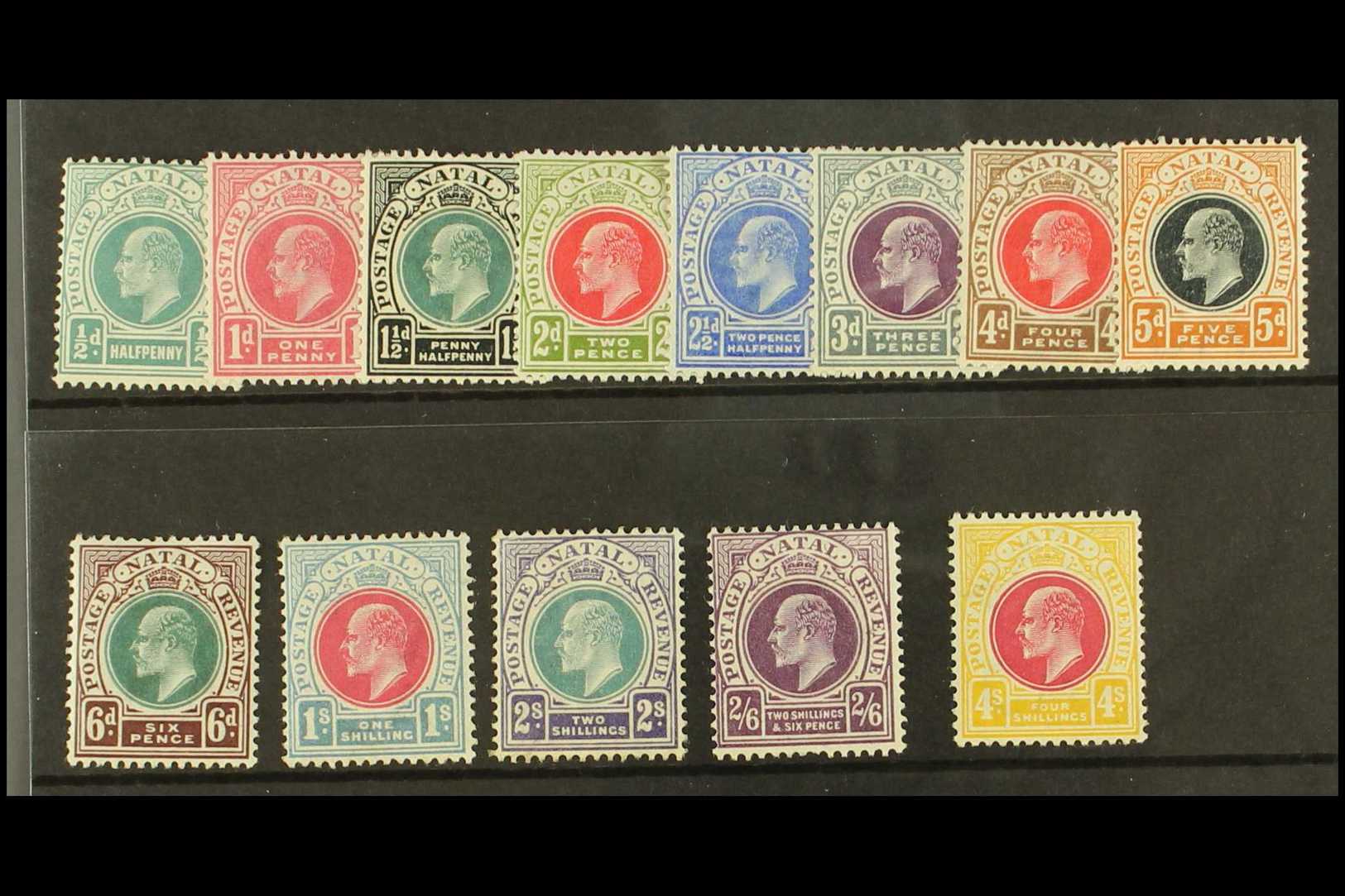 NATAL  1902-03 Complete Set SG 127/139, Fine Mint. (13 Stamps) For More Images, Please Visit Http://www.sandafayre.com/i - Sin Clasificación