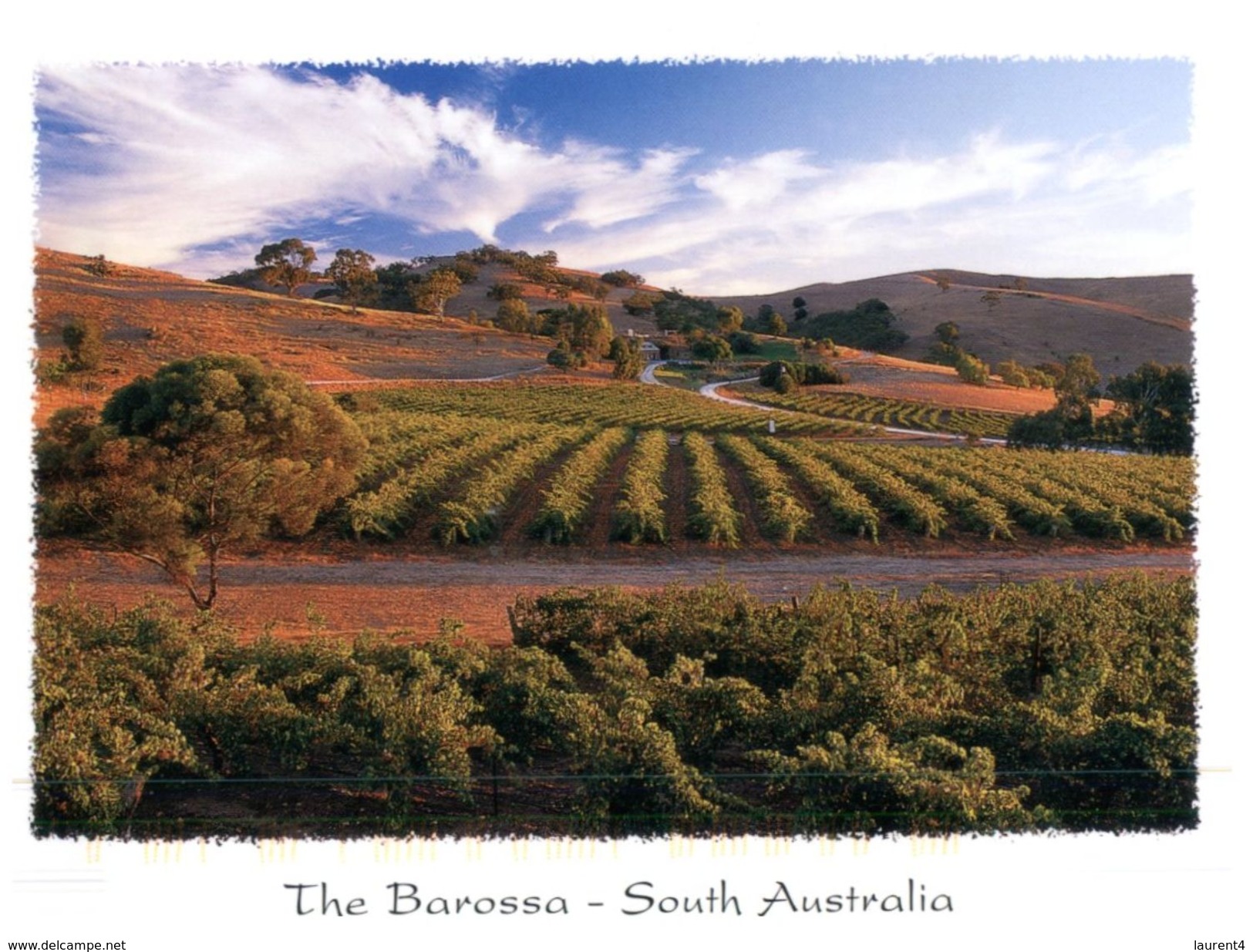 (111) Australia - (with Stamp At Back Of Postcard) - SA - Barossa Valley - Barossa Valley