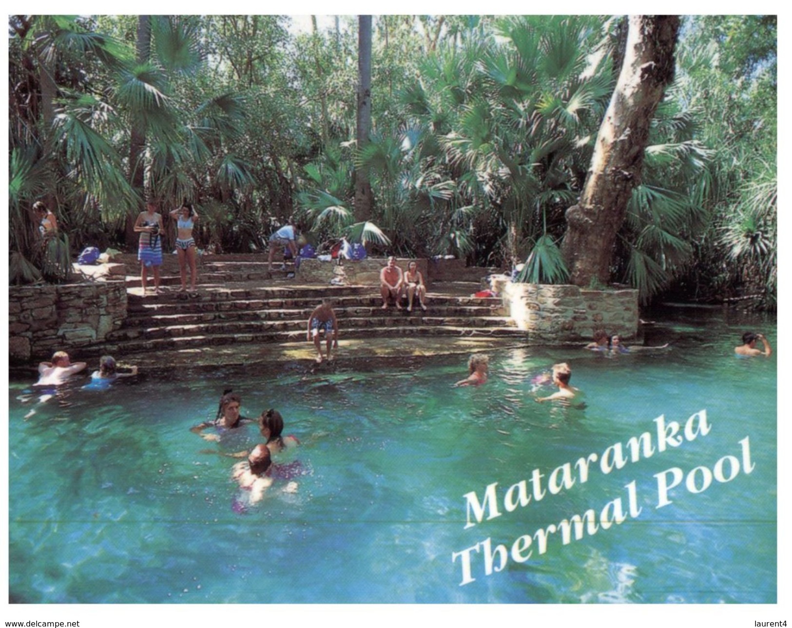 (111) Australia - (with Stamp At Back Of Postcard) - NT - Mataranka Pool - Darwin