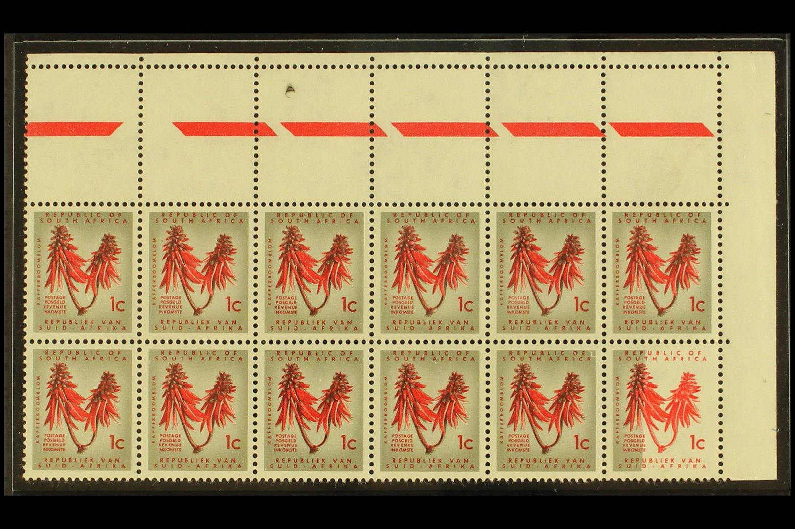 RSA VARIETY  1961 1c Red & Olive-grey, Type I, Wmk Coat Of Arms, Corner Block Of 12 With LARGE INTRUSION On One Stamp, C - Sin Clasificación