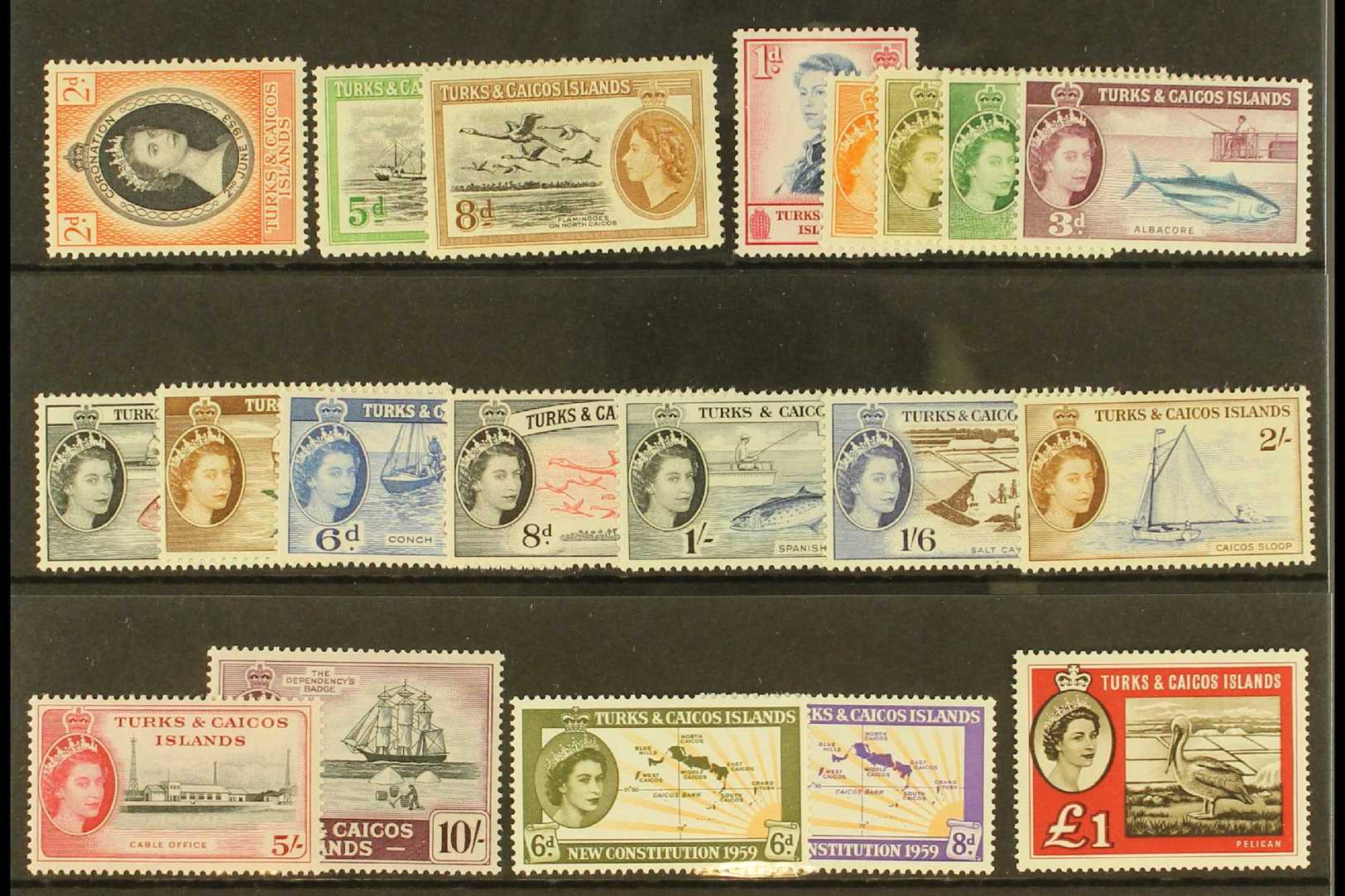 1953-60 COMPLETE QEII.  Presented On A Stock Card, SG 234/253, Never Hinged Mint (ex New Constitution Set Of 2). Lovely  - Turks And Caicos