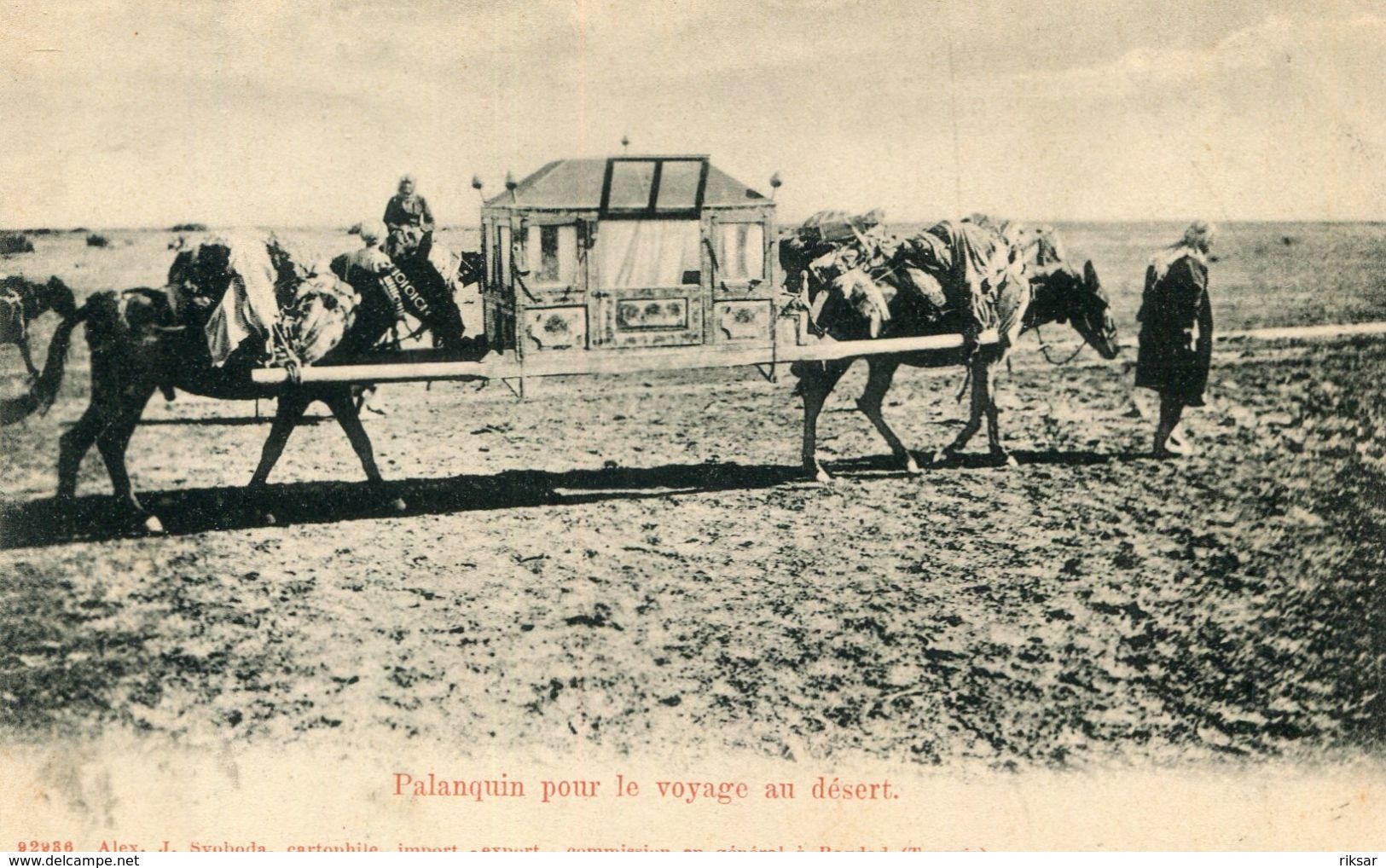 IRAQ(PALANQUIN) - Iraq