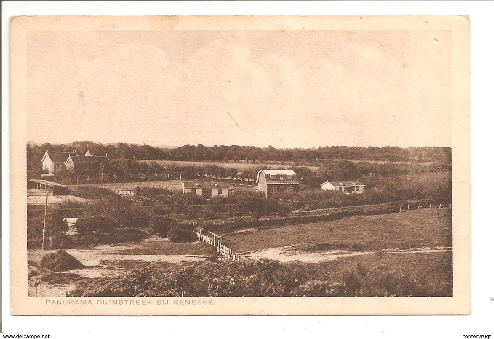 Renesse. Panorama Duinstreek - Renesse