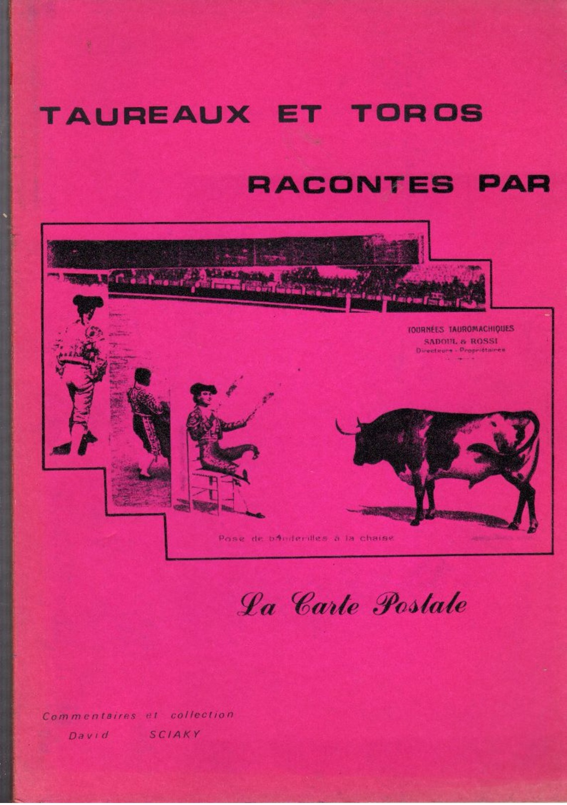 Cp  Taureaux Et Toros Par La Carte Postale  David Sciaky - Livres & Catalogues