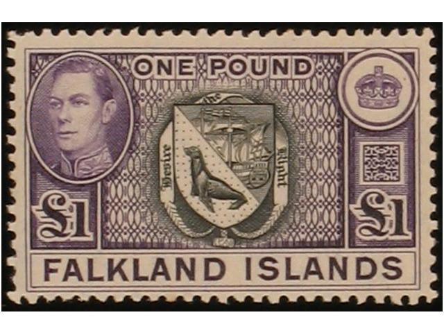 * FALKLAND - Other & Unclassified