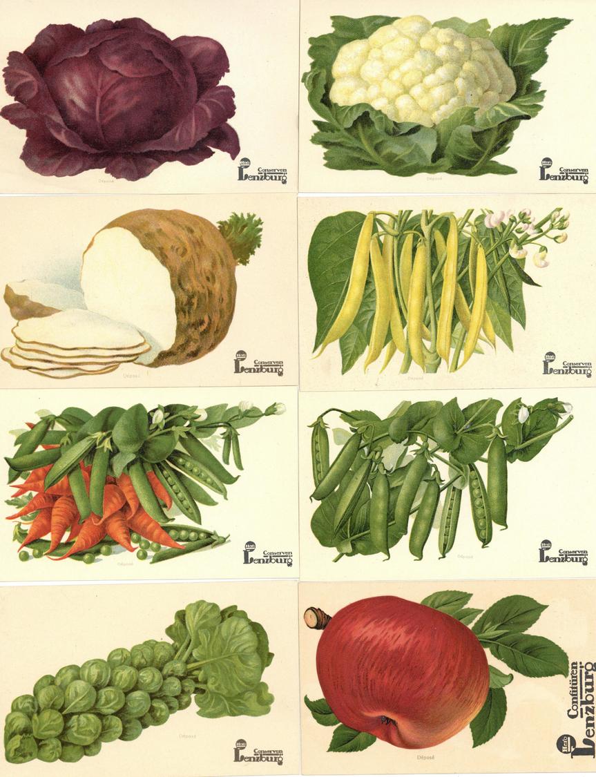 Landwirtschaft Gemüse Und Obst Conserven Lenzburg Schweiz Partie Mit über Mit Circa 30 Ansichtskarten I-II (1x Gelaufen) - Tentoonstellingen