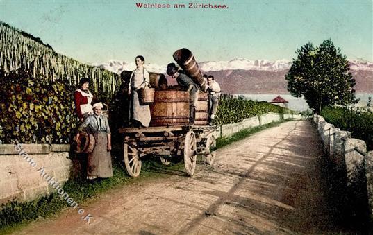 Wein Weinlese Schweiz Am Zürichsee Ansichtskarte 1910 I-II (Stauchung) Vigne - Tentoonstellingen