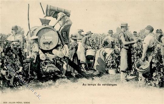 Wein Weinlese Schweiz Ansichtskarte I-II Vigne - Tentoonstellingen