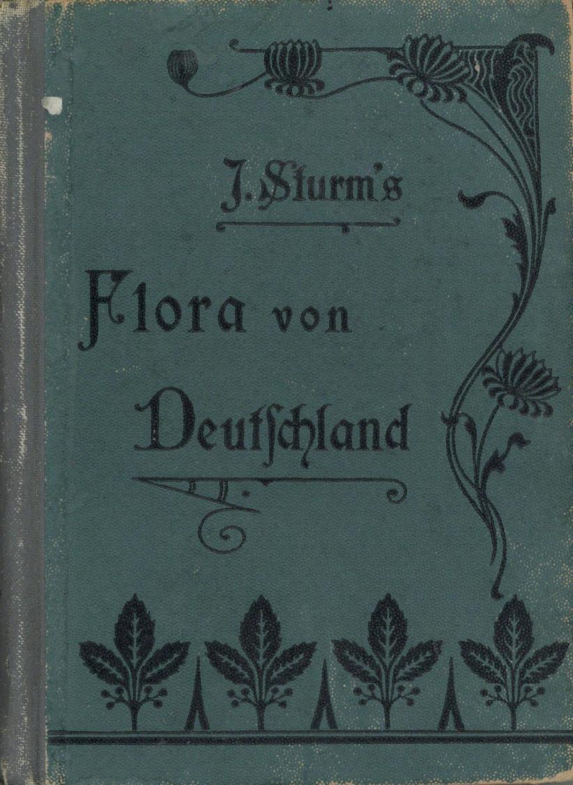 Buch 15 Bändiges Werk J. Sturms Flora Von Deutschland Krause, Ernst H. L. 1906 Verlag K. G. Lutz Mit Sehr Vielen Farbige - Andere & Zonder Classificatie