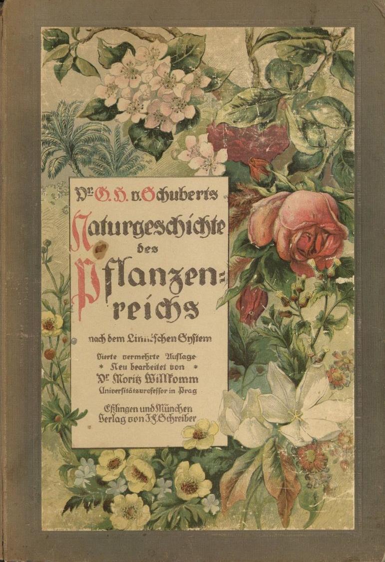 Buch Naturgeschichte Des Pflanzenreichs Nach Dem Linneschen System Schubert, G. H. Dr. Verlag Schreiber 77 Seiten Und 54 - Andere & Zonder Classificatie