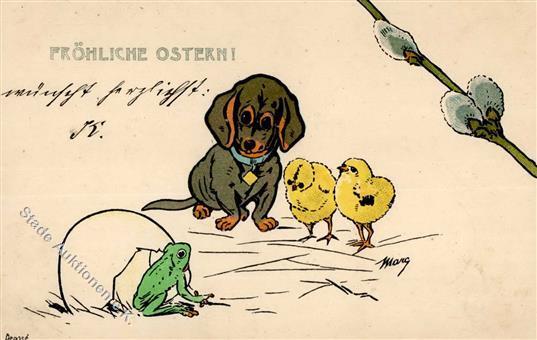 Hund Dackel Frosch Küken Künstler-Karte 1915 I-II Grenouille Chien - Chiens