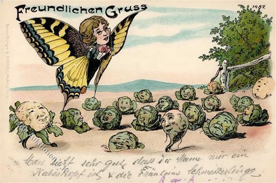 Schmetterling Kohl Personifiziert Lithographie 1900 I-II - Vlinders
