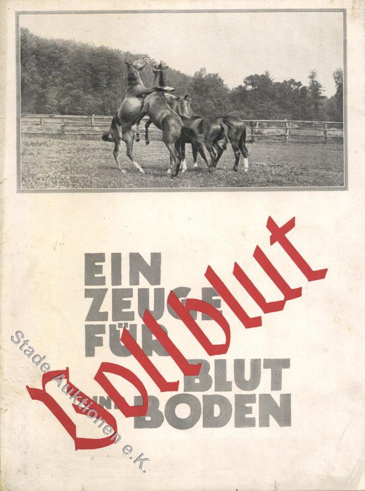 Pferdesport 2 Hefte Mit Sehr Vielen Abbildungen II (fleckig) - Paarden