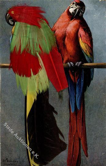 Papagei Echte Federn  I-II - Andere & Zonder Classificatie