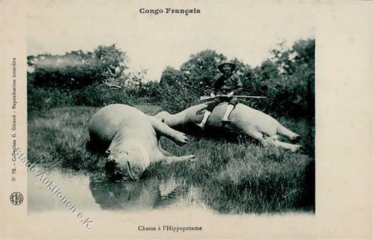 Jagd Safari Congo Francais Nilpferd I-II Chasse - Chasse