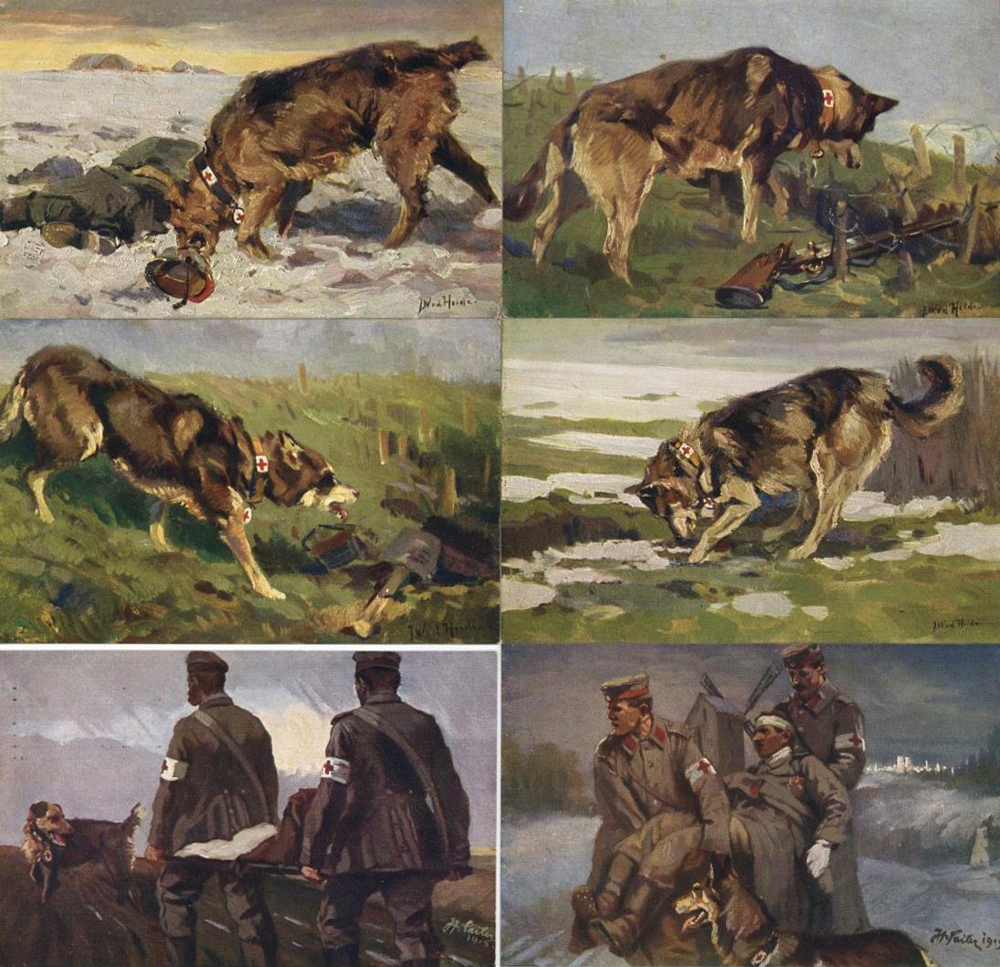 ROTES KREUZ - Kpl. 10er-Serie Der SANITÄTSHUND Im FELDE" (Schäferhund), Sign. Künstlerkarten I" - Rode Kruis