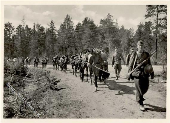SS WK II Gebirgsdivision Nord In Karelien Foto AK I-II - Oorlog 1939-45