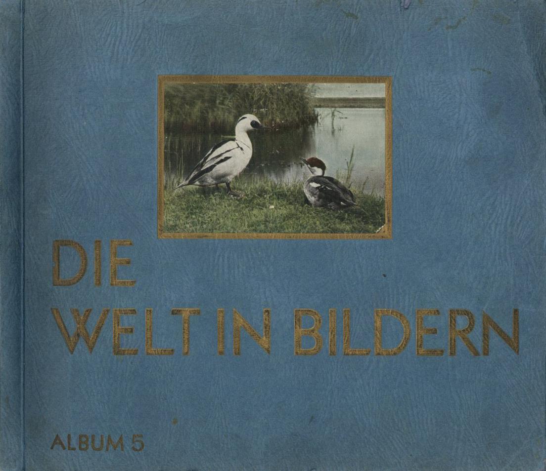 Sammelbild-Album Die Welt In Bildern Album 5 Jasmatzi Zigarettenfabrik Um 1930 Komplett II - Oorlog 1939-45