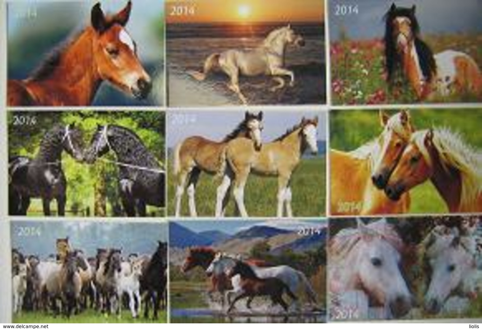 5 Pocket Calendars  Horses  Lithuania 2014 - Small : 2001-...