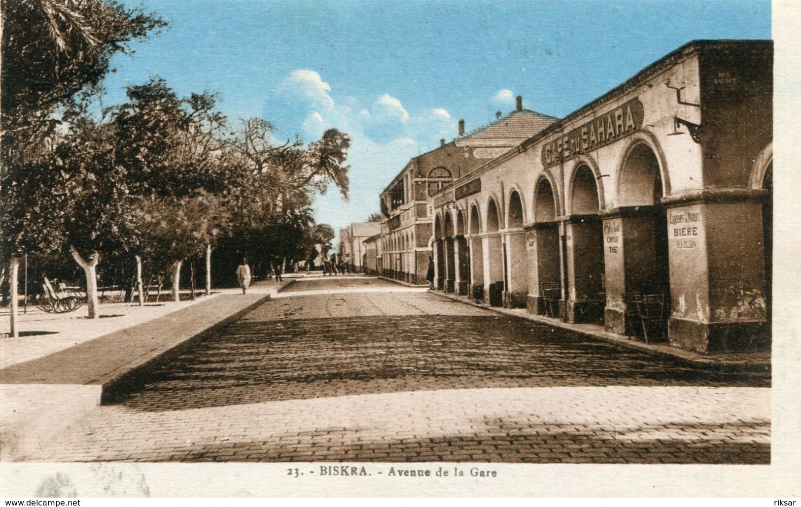 ALGERIE(BISKRA) - Biskra