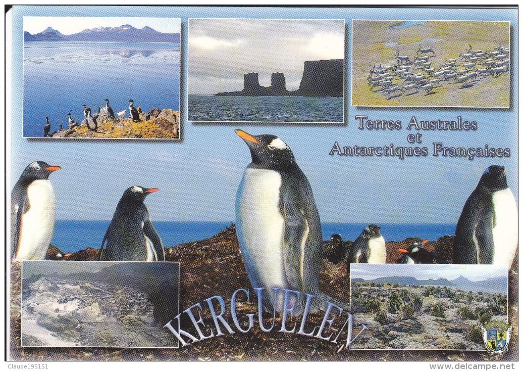 T.A.A.F         KERKELEN - TAAF : Terres Australes Antarctiques Françaises