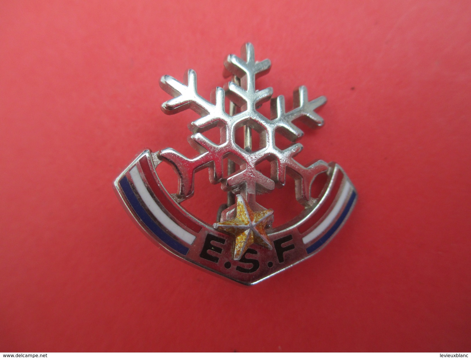Médaille De Sport/Ski/ESF/Flocon Avec Etoile/DECAT Paris/ Bronze Nickelé Cloisonné Peint/Vers 1960 - 1980        SPO205 - Sports D'hiver