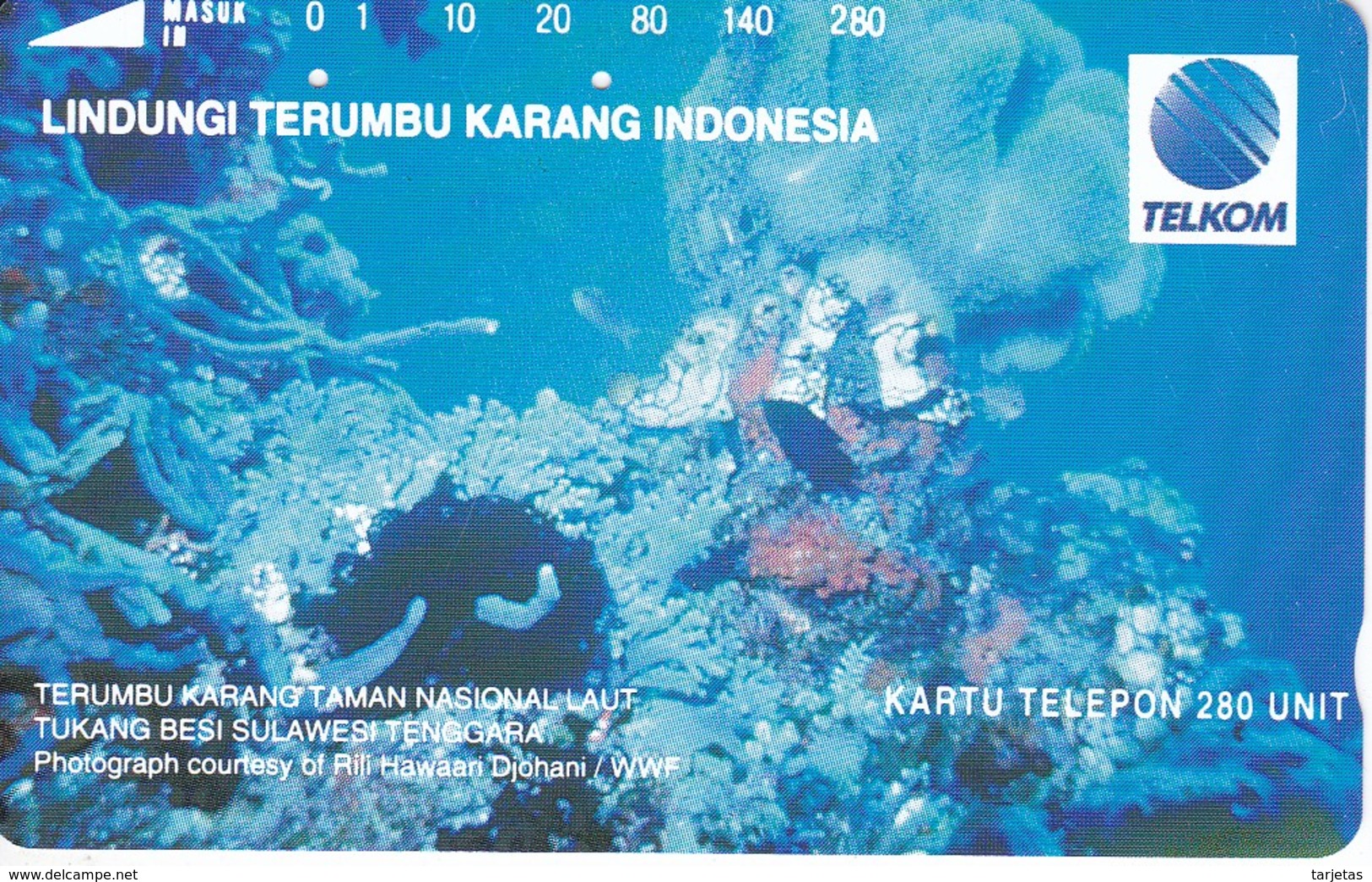 TARJETA DE INDONESIA DE CORALES  (MARINE LIFE- PEZ-FISH) 280 UNITS - Peces