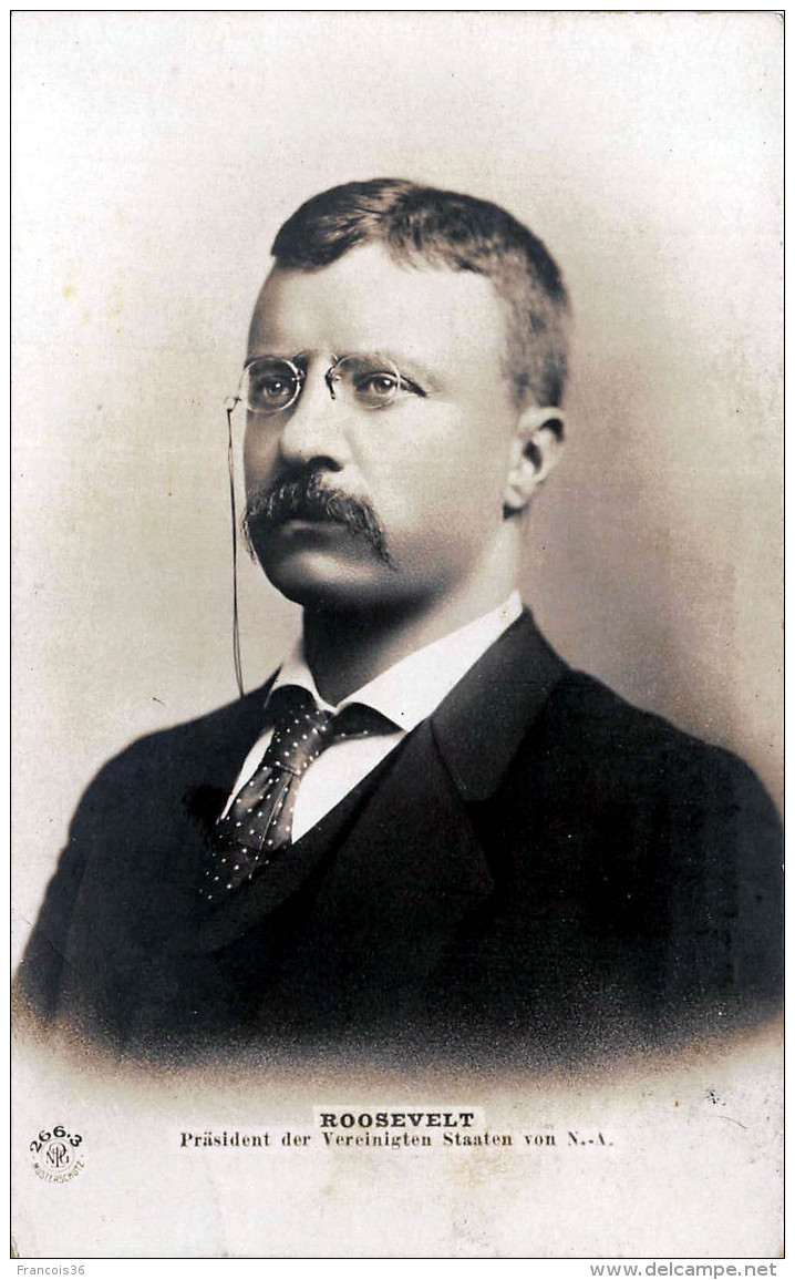 Roosevelt - President Portrait - Présidents