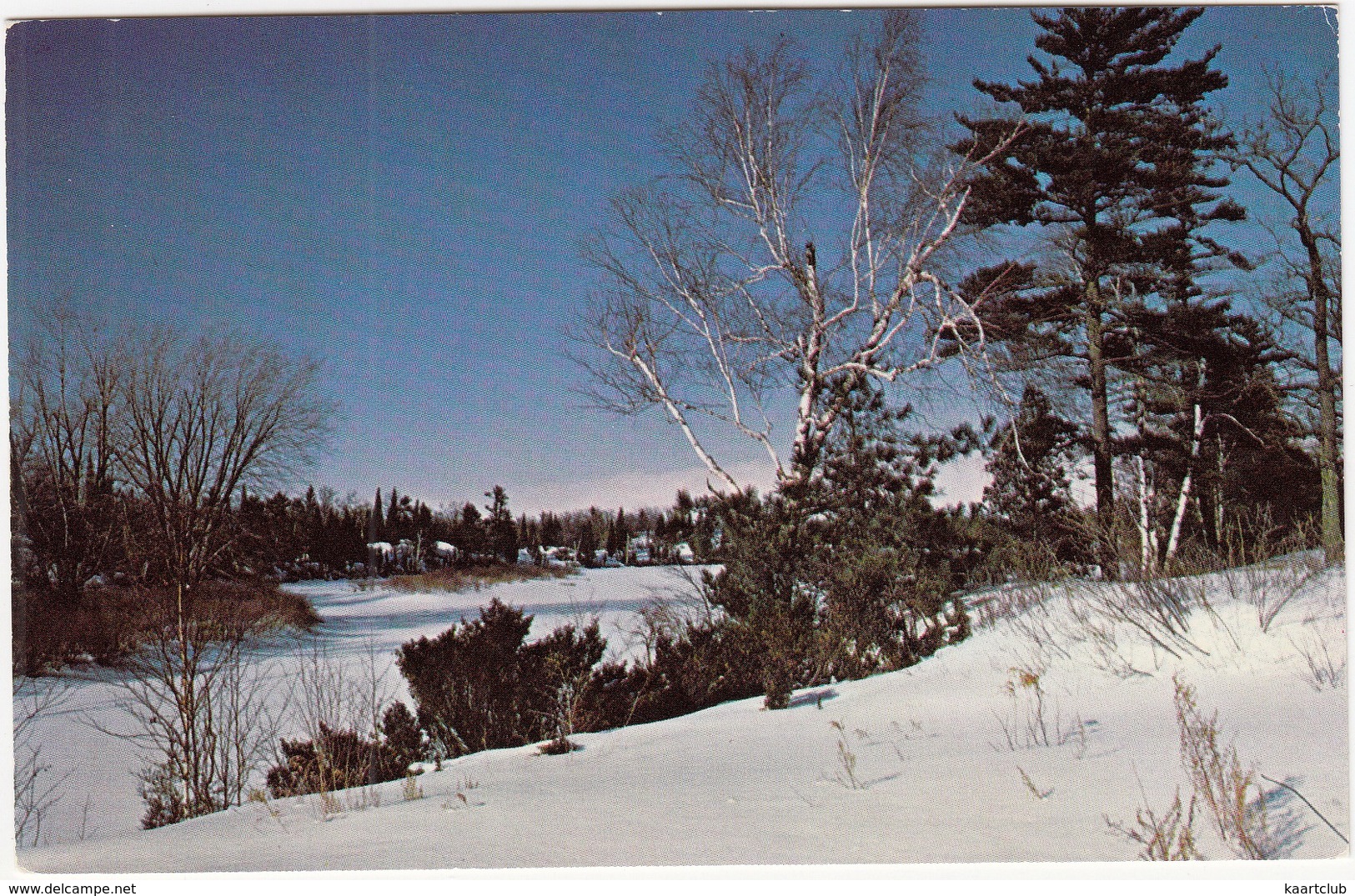 A Winter Scene In The Forests Of Southern Ontario -  (Canada) - Andere & Zonder Classificatie