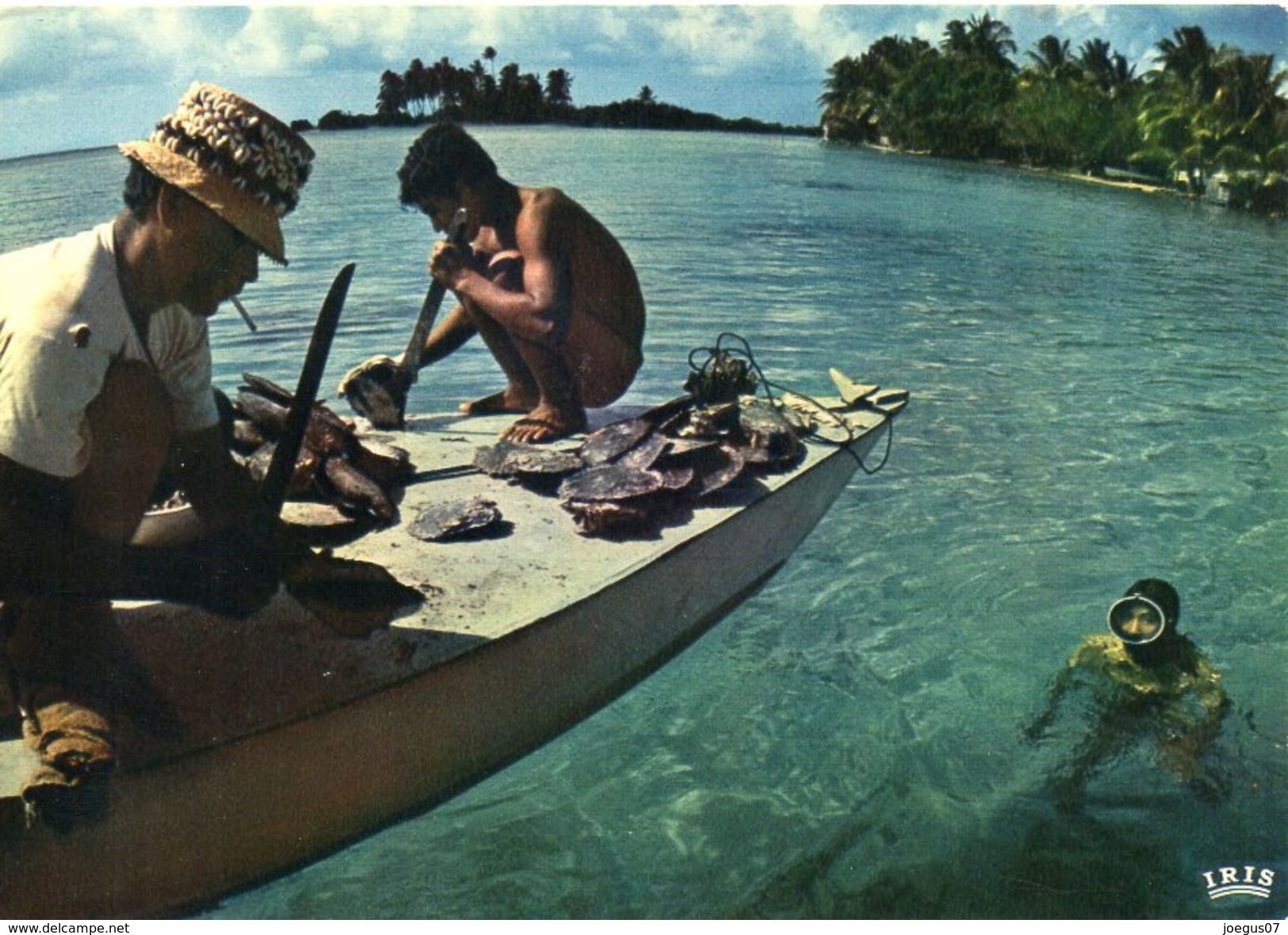 Polynésie. La Récolte Des Nacres Aux îles TUAMOTU. Coquillages - 74 - Diffusion HACHETTE PACIFIQUE - BE - Polynésie Française