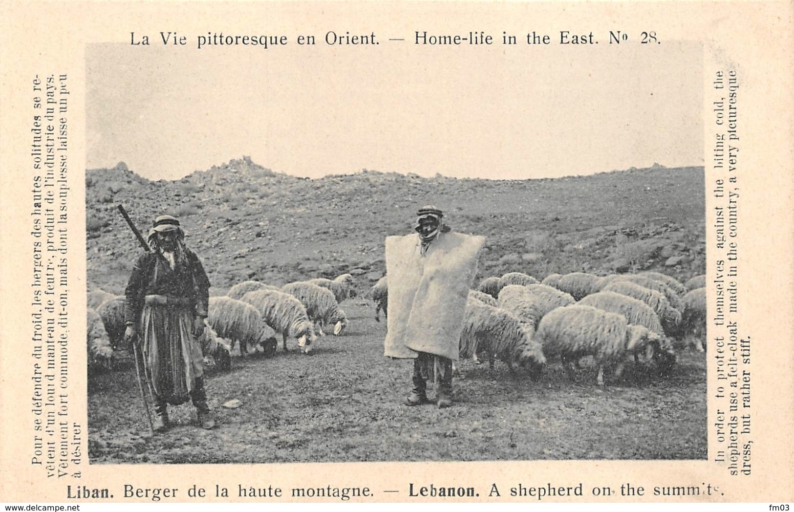 Liban Berger Moutons La Vie Pittoresque En Orient - Lebanon