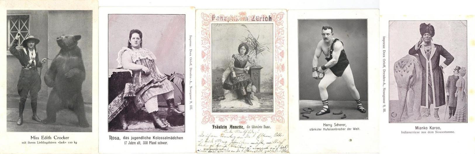 Zirkus / Variete Und Einige Wenige Sonstige Motive Album Mit über 120 Ansichtskarten I-II - Cirque