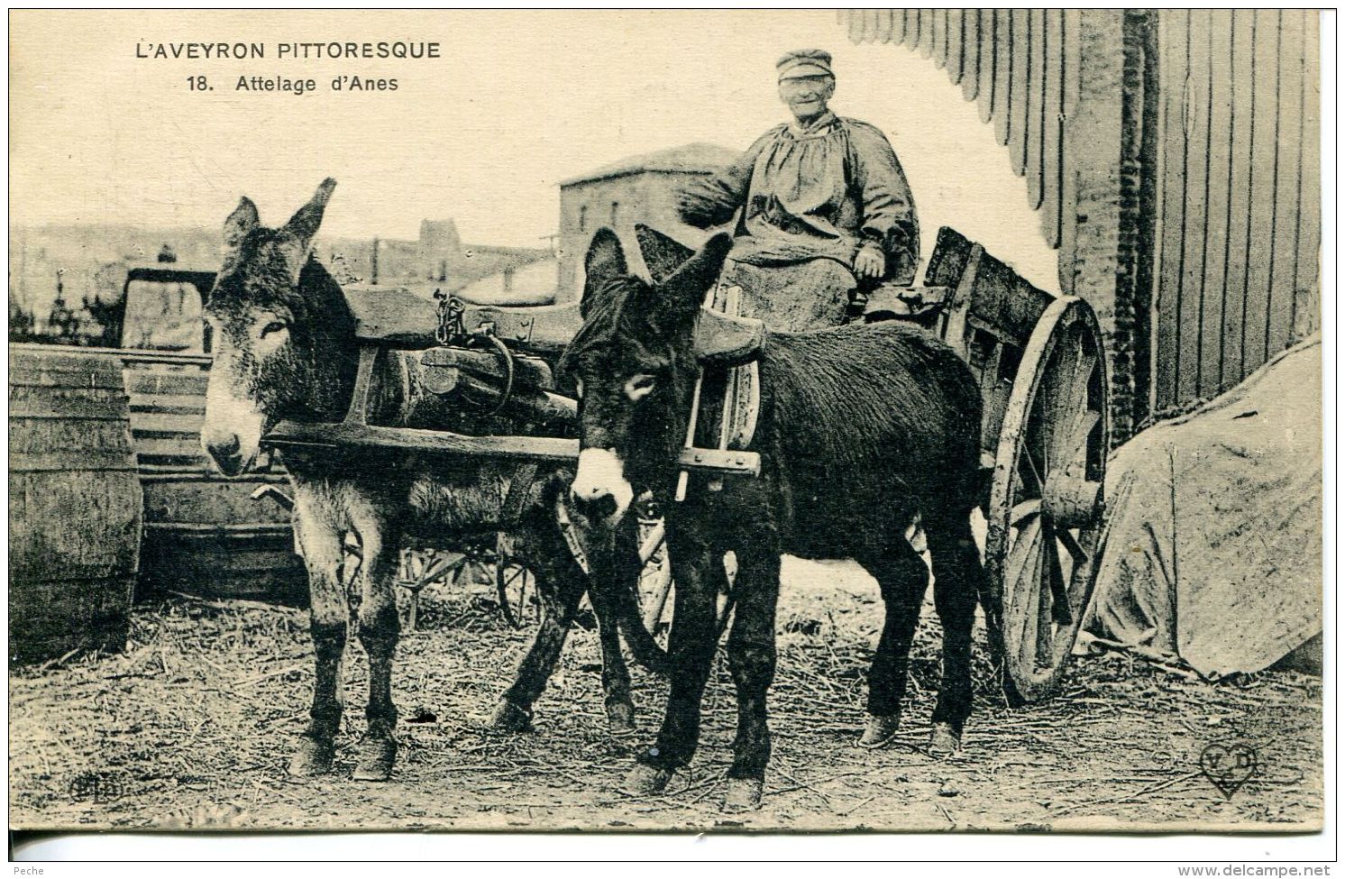 N°58504 -cpa L'Aveyron Pittoresque -attelage D'ânes- - Attelages