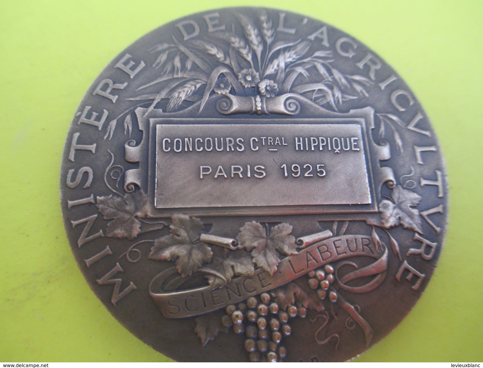 Médaille De Table / Ministère De L'Agriculture/Concours Central Hippique/Paris/Alphée DUBOIS/1925  SPO211 - Equitazione