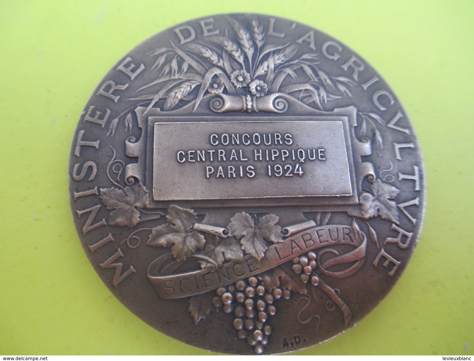 Médaille De Table / Ministère De L'Agriculture/Concours Central Hippique/Paris/Alphée DUBOIS/1924  SPO213 - Hipismo