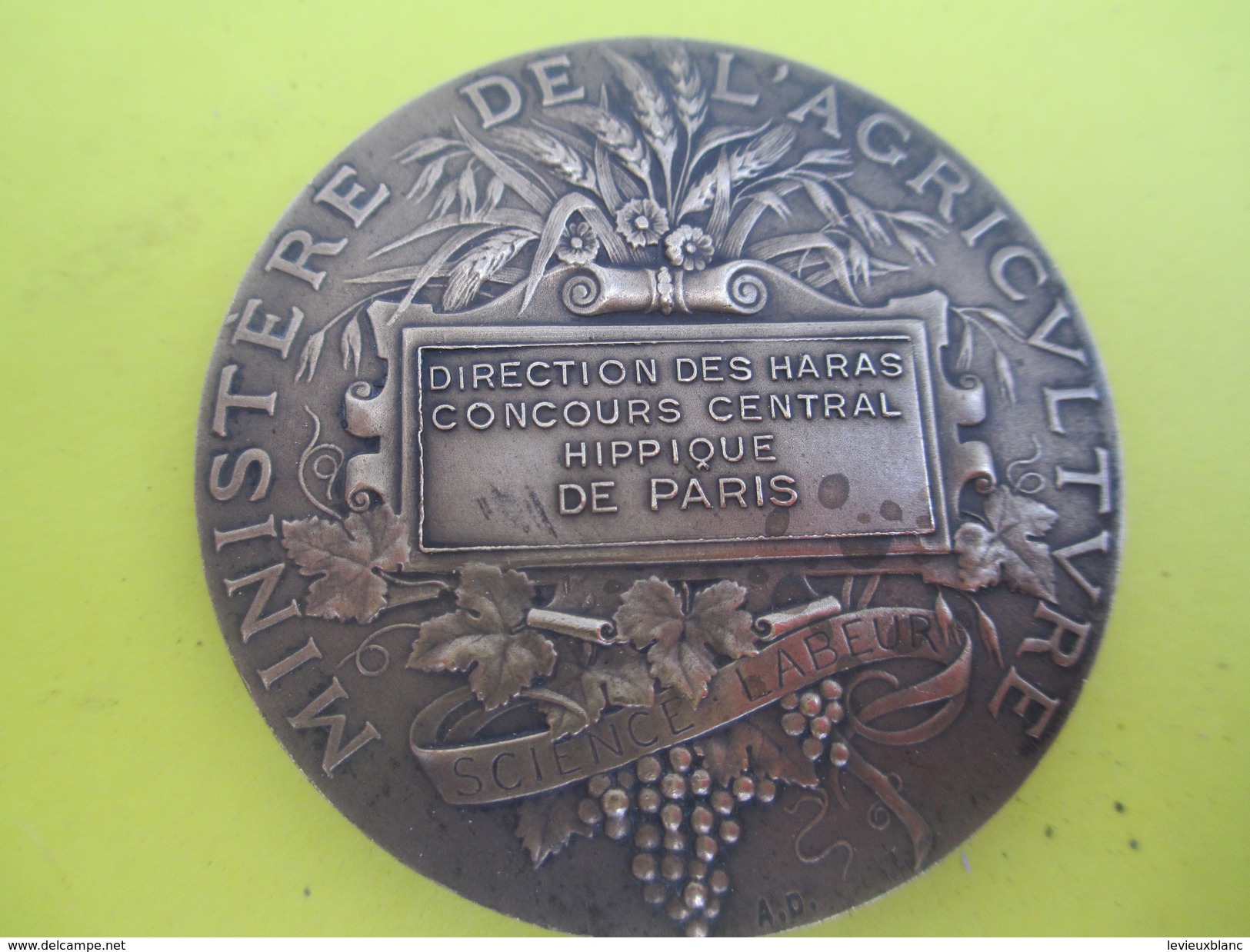 Médaille De Table/Minist. De L'Agric/Direction Des Haras/Concours Central Hippique/Paris/Alphée DUBOIS/Vers 1920  SPO214 - Ruitersport