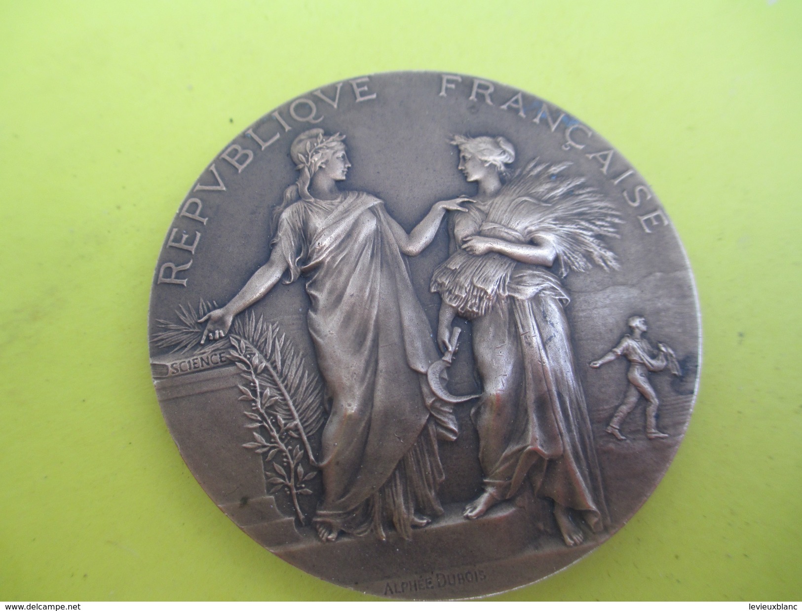 Médaille De Table/Ministére De L'Agriculture/Concours Central Hippique/Paris/Alphée DUBOIS/1908      SPO215 - Equitation