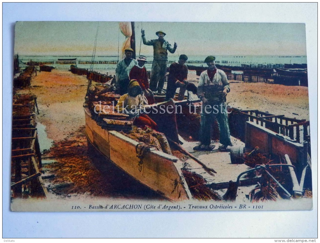 FRANCIA FRANCE ARCACHON Cote D'Argent Travaux Ostreicoles Boats Fisherman Old Postcard - Arcachon