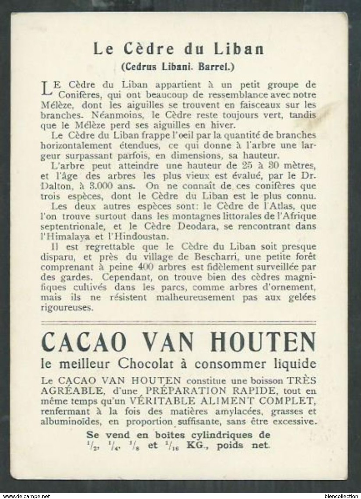 Chocolat Van Houten. Le Cèdre Du Liban - Van Houten