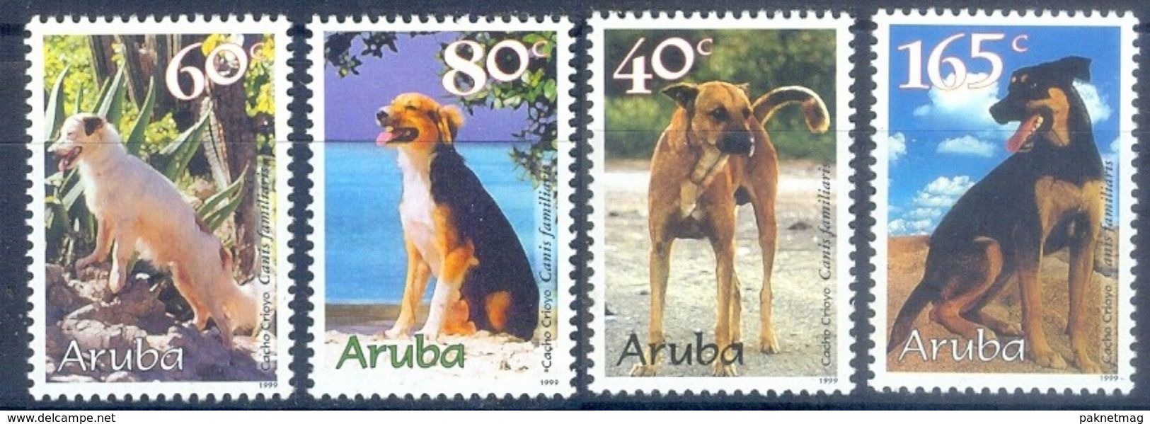 S280- Aruba 1999. Animals. Dogs. - Dogs